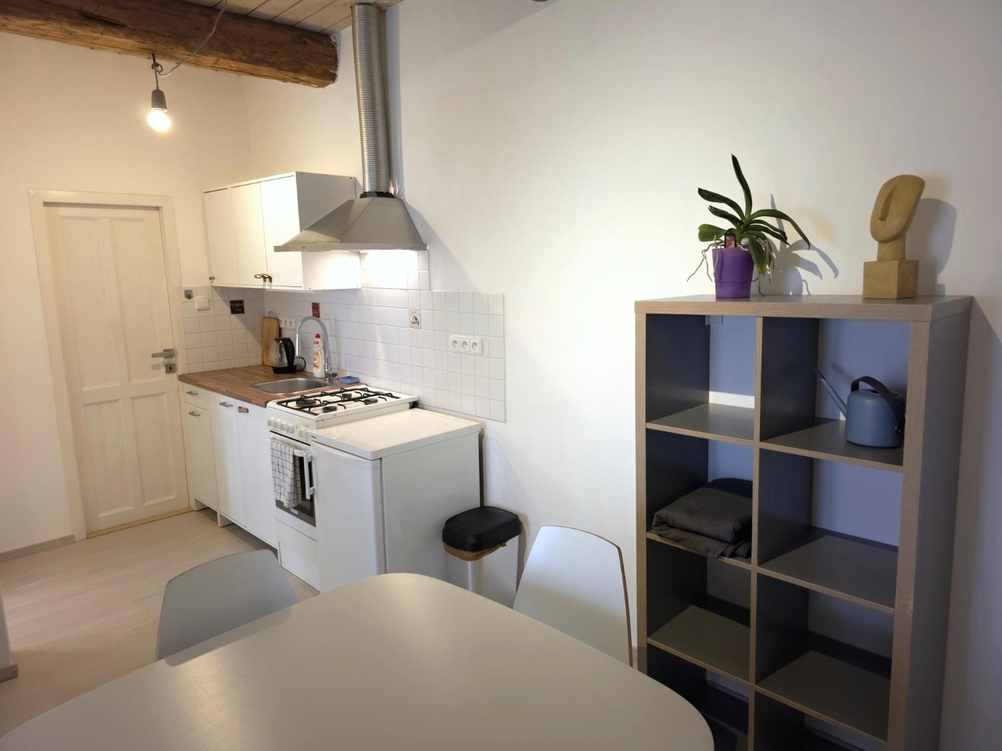 Apartman Sedlecka V Centru Kutne Hory Kutná Hora Dış mekan fotoğraf